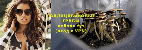 MDMA Premium VHQ Нязепетровск