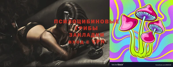 MDMA Premium VHQ Нязепетровск