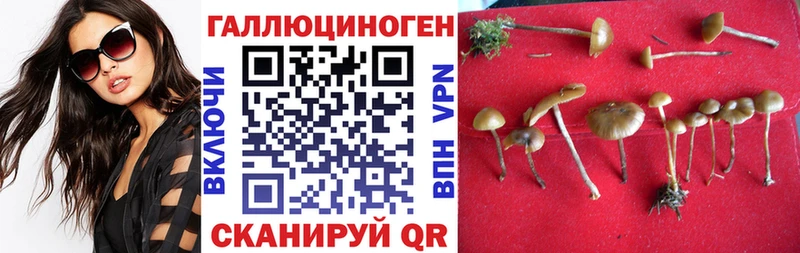 Галлюциногенные грибы Magic Shrooms  Курильск 